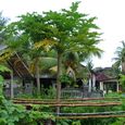 Bali_25dec2005_061